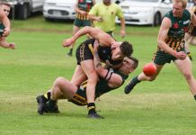 Mozzies on the improve