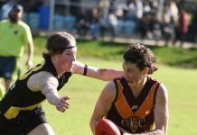 Murphies look to climb the ladder