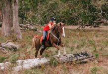 Hunt club season kicks off