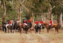 Hunt Club navigates the Murphy’s