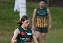 Mozzies find their groove