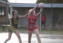 Tigers rise in final term