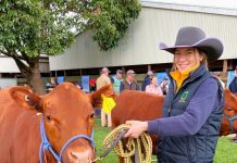 Local student named champion handler