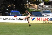 Hawks return to winning ways under lights