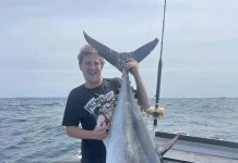 Tuna run heats up across the border