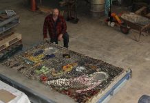 Shell garden wall to rise again