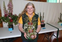 Millicent Show Results