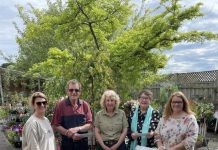 Winning gardens open to view