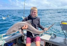 Festive season produces