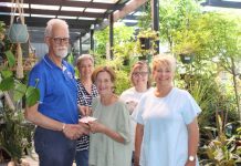 Generous donation for more Millicent murals