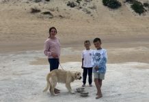 Perseverance pays off for lost Lexi