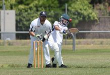 Cricketers back to the crease