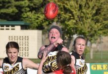 Eagles claim tight win over Tigers