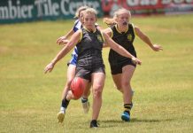 Northern Tigers roar to life against Hawks