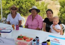 Southend fun in the sun