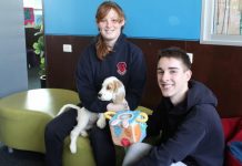 Extra support for high school wellbeing