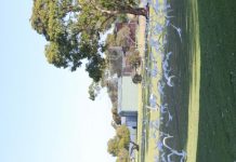 Corella’s not under council control