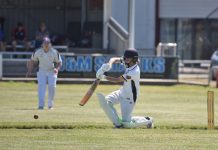 Cricketers back on the park