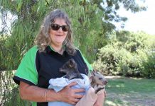 A night under the stars