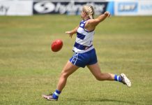 Tigers go down in cat fight