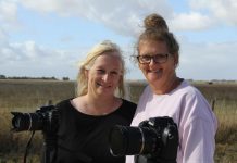 Chasing the dancing lights