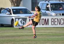 North wins battle of the Tigers