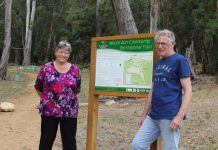 Camera gives glimpse into bird life