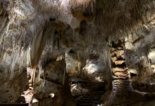 Limestone Coast caves attract visitors to region