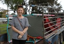 Council auction has the goods