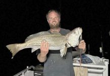 Tuna dominate the news