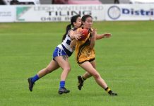 North progresses into decider