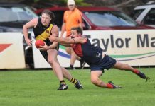 Demons deliver in Shield match