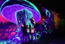 Glow up for Millicent