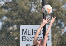 Magpies and Mozzies in match of the round