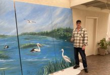 Bringing nature in to family room