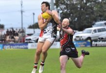 Bulldogs leashed at home