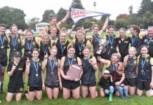 Tigers pounce on Hawks