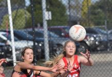 Saints shake off young Demons