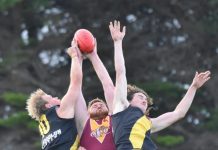 Hawks sink claws into first win