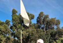 Day to remember for Shanks