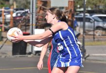 Penola suffers defeat in battle of Eagles