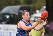 Big term cements win