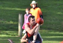 Mozzies no match for Demons