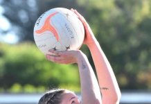 Eagles in full flight