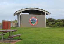 State carnival hits the surf