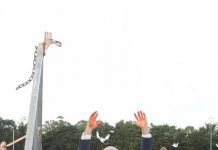 Taking the plunge for research