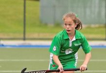 Young stars represent region