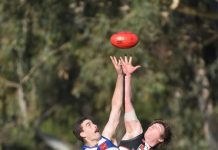 Saints host Cats under lights