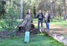 Walkers welcomed back to trails