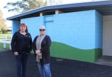 On a mission to complete Mount Burr mural